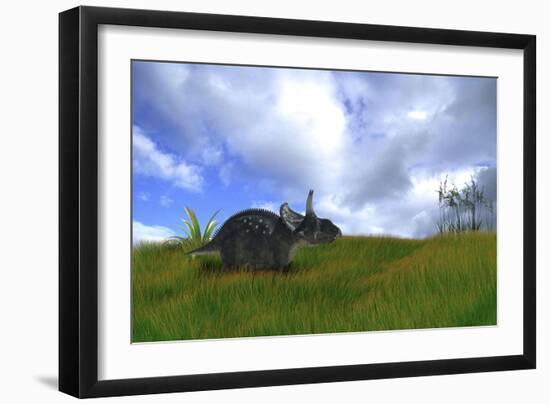 Triceratops Walking across Prehistoric Grasslands-null-Framed Art Print