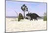 Triceratops Walking Along a Prehistoric Beach Landscape-null-Mounted Art Print