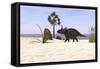 Triceratops Walking Along a Prehistoric Beach Landscape-null-Framed Stretched Canvas