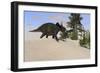 Triceratops Walking Along a Prehistoric Landscape-null-Framed Art Print