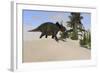 Triceratops Walking Along a Prehistoric Landscape-null-Framed Art Print