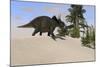 Triceratops Walking Along a Prehistoric Landscape-null-Mounted Art Print