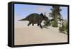 Triceratops Walking Along a Prehistoric Landscape-null-Framed Stretched Canvas