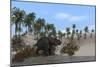 Triceratops Walking Along the Shoreline-null-Mounted Art Print