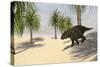 Triceratops Walking in a Tropical Environment-null-Stretched Canvas