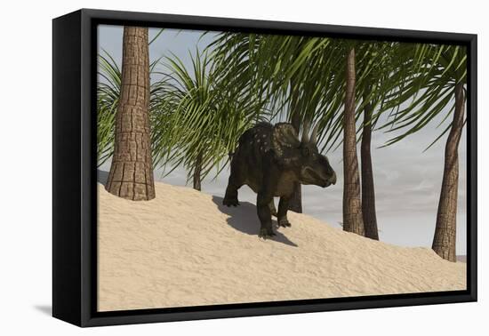 Triceratops Walking in a Tropical Environment-null-Framed Stretched Canvas