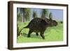 Triceratops Walking in Open Field-null-Framed Art Print