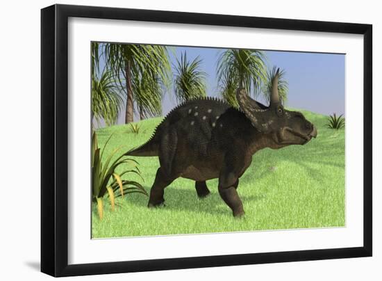 Triceratops Walking in Open Field-null-Framed Art Print