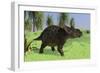 Triceratops Walking in Open Field-null-Framed Art Print