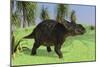 Triceratops Walking in Open Field-null-Mounted Art Print