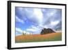 Triceratops Walking Through Tall Grass-null-Framed Art Print