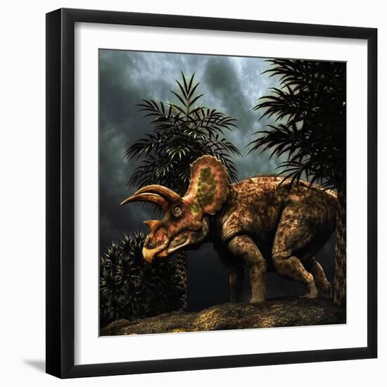 Triceratops Was a Herbivorous Dinosaur from the Cretaceous Period-null-Framed Art Print