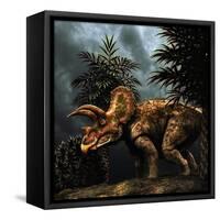 Triceratops Was a Herbivorous Dinosaur from the Cretaceous Period-null-Framed Stretched Canvas