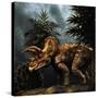 Triceratops Was a Herbivorous Dinosaur from the Cretaceous Period-null-Stretched Canvas