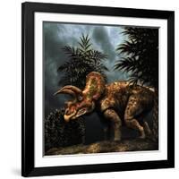 Triceratops Was a Herbivorous Dinosaur from the Cretaceous Period-null-Framed Art Print