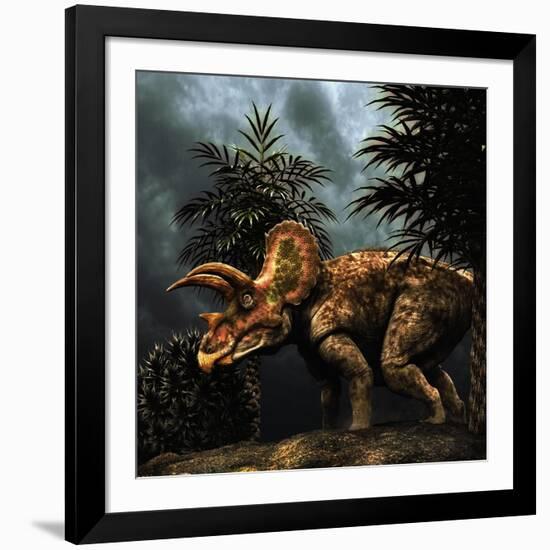 Triceratops Was a Herbivorous Dinosaur from the Cretaceous Period-null-Framed Art Print