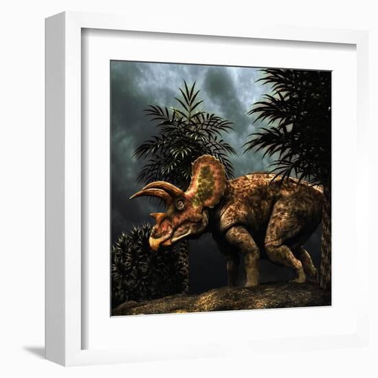 Triceratops Was a Herbivorous Dinosaur from the Cretaceous Period-null-Framed Art Print