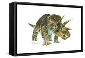 Triceratops-Tim Knepp-Framed Stretched Canvas