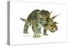 Triceratops-Tim Knepp-Stretched Canvas