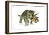 Triceratops-Tim Knepp-Framed Giclee Print