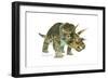 Triceratops-Tim Knepp-Framed Giclee Print