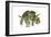 Triceratops-Tim Knepp-Framed Giclee Print