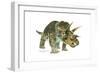 Triceratops-Tim Knepp-Framed Giclee Print