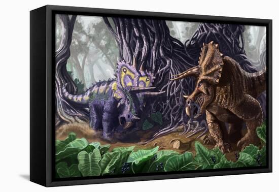 Tricerotops Charging Dinosaur-Lantern Press-Framed Stretched Canvas