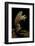 Trichobatrachus Robustus (Hairy Frog)-Paul Starosta-Framed Photographic Print