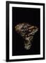 Tricholoma Caligatum (European Matsutake)-Paul Starosta-Framed Premium Photographic Print