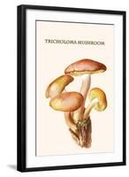 Tricholoma Mushroom-L. Dufour-Framed Art Print