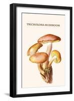 Tricholoma Mushroom-L. Dufour-Framed Art Print