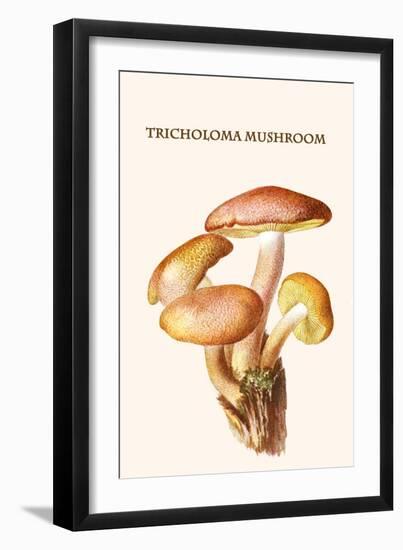 Tricholoma Mushroom-L. Dufour-Framed Art Print