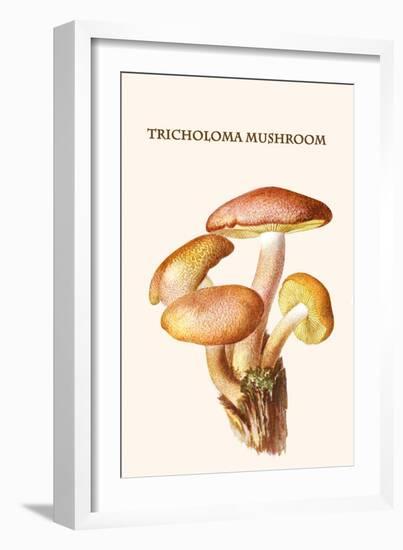 Tricholoma Mushroom-L. Dufour-Framed Art Print