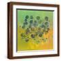 Brown Frame