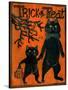 Trick or Treat Black Cats-sylvia pimental-Stretched Canvas