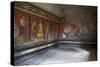 Triclinium Frescoes, Villa Dei Misteri, Pompeii, Campania, Italy-Oliviero Olivieri-Stretched Canvas