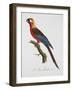 Tricolor Macaw-Jacques Barraband-Framed Giclee Print