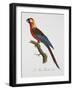 Tricolor Macaw-Jacques Barraband-Framed Giclee Print