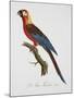 Tricolor Macaw-Jacques Barraband-Mounted Giclee Print