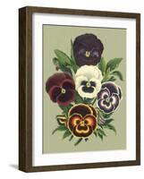 Tricolor Pansies I-Vision Studio-Framed Art Print