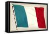 Tricolor-null-Framed Stretched Canvas