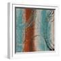 Tricolored II-Michael Marcon-Framed Art Print