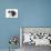 Tricolour Border Collie Puppy in Play-Bow-Mark Taylor-Mounted Photographic Print displayed on a wall