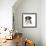 Tricolour Border Collie Puppy-Mark Taylor-Framed Premium Photographic Print displayed on a wall