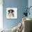Tricolour Border Collie Puppy-Mark Taylor-Mounted Photographic Print displayed on a wall
