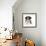 Tricolour Border Collie Puppy-Mark Taylor-Framed Photographic Print displayed on a wall