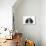 Tricolour Cavalier King Charles Spaniel Puppy, Lying with Chin on Floor-Mark Taylor-Photographic Print displayed on a wall