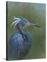 Tricolour Egret-Michael Jackson-Stretched Canvas