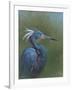 Tricolour Egret-Michael Jackson-Framed Giclee Print